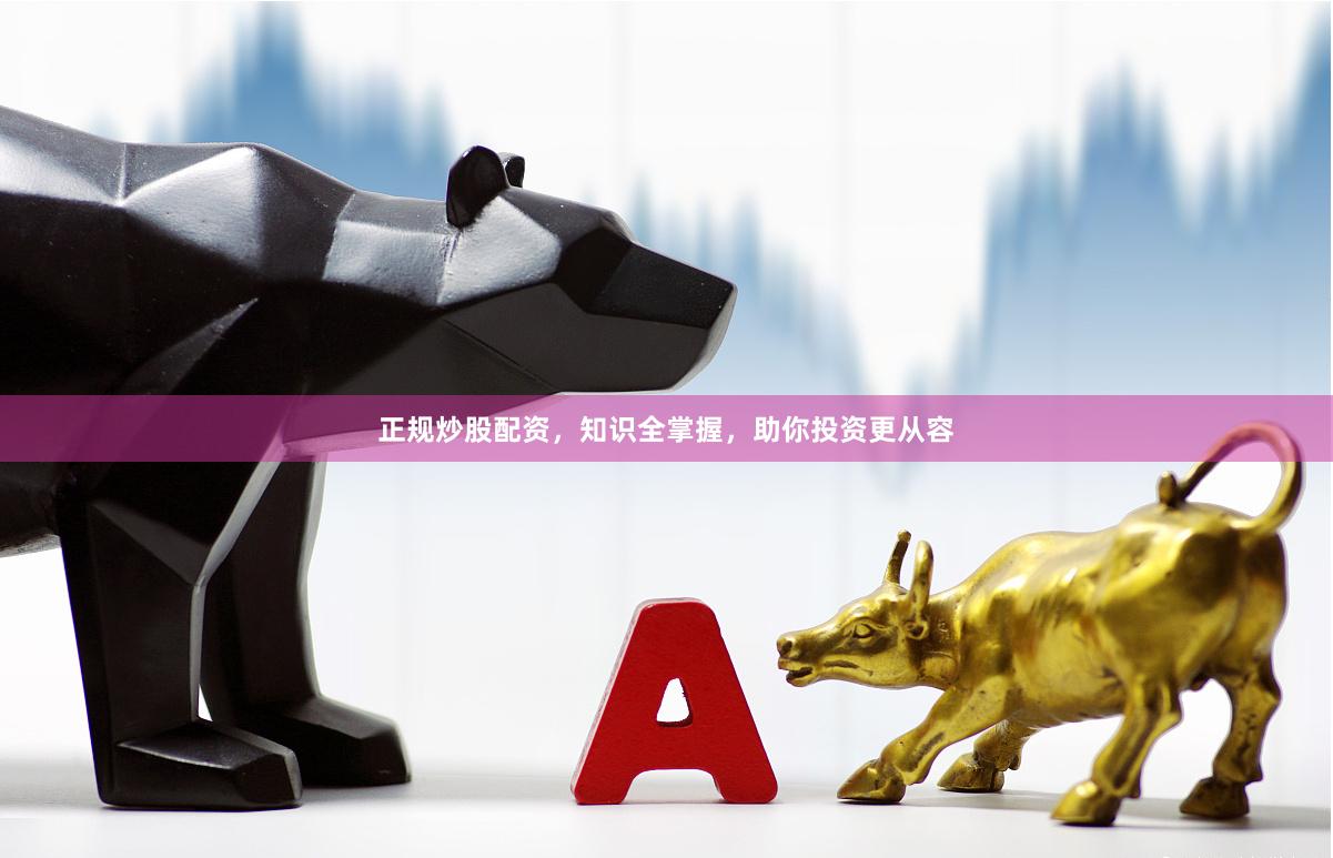 正规炒股配资，知识全掌握，助你投资更从容