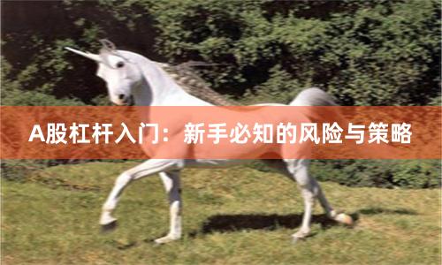 A股杠杆入门：新手必知的风险与策略